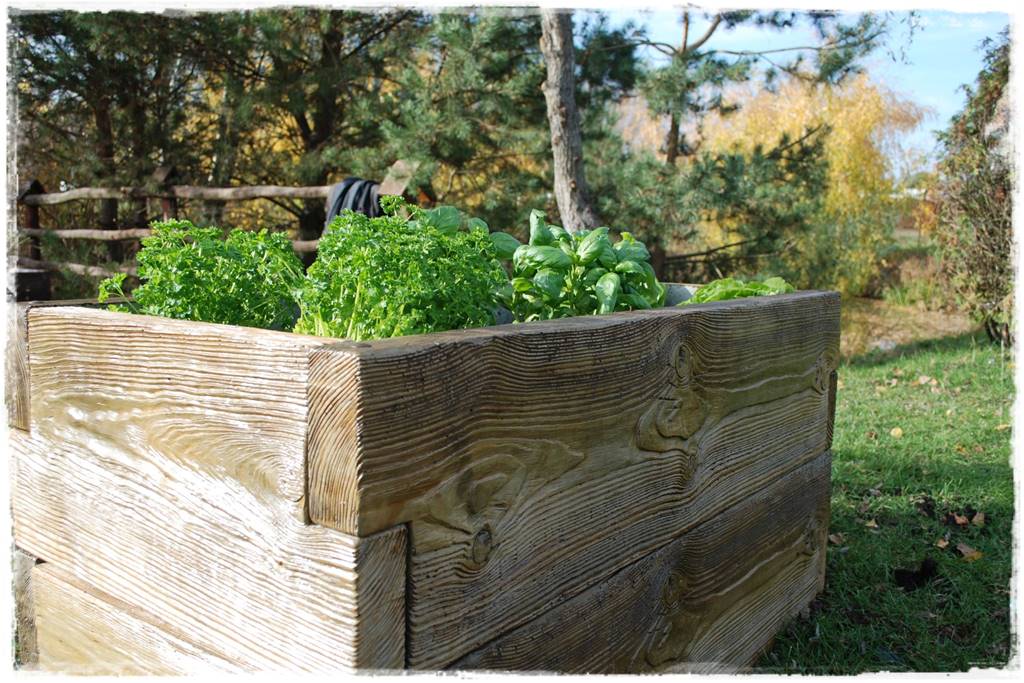 Podwyższona grządka jako warzywnik 31 Podwyższona grządka jako warzywnik 31