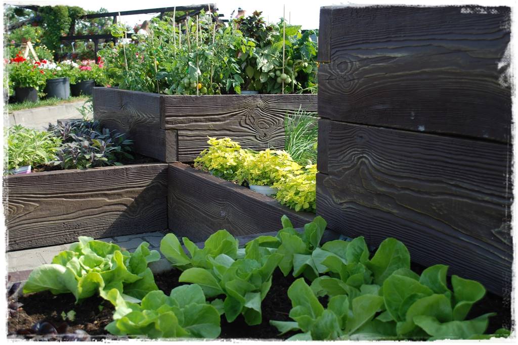 Podwyższona grządka jako warzywnik 32 Podwyższona grządka jako warzywnik 32