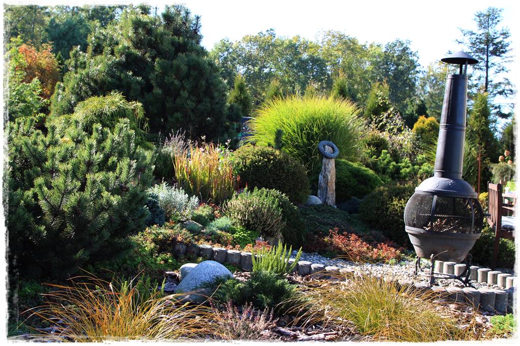 Rabata z iglakami 15b Rabata z iglakami 15b