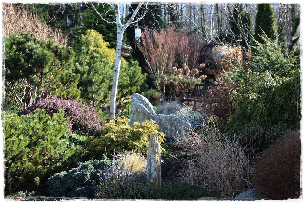 Rabata z iglakami 16 Rabata z iglakami 16