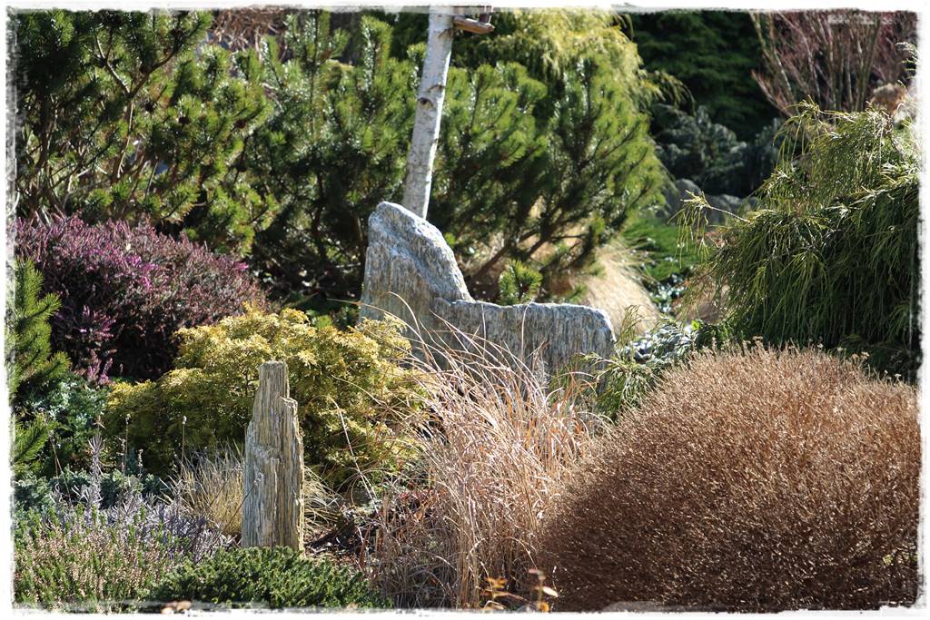 Rabata z iglakami 2 Rabata z iglakami 2