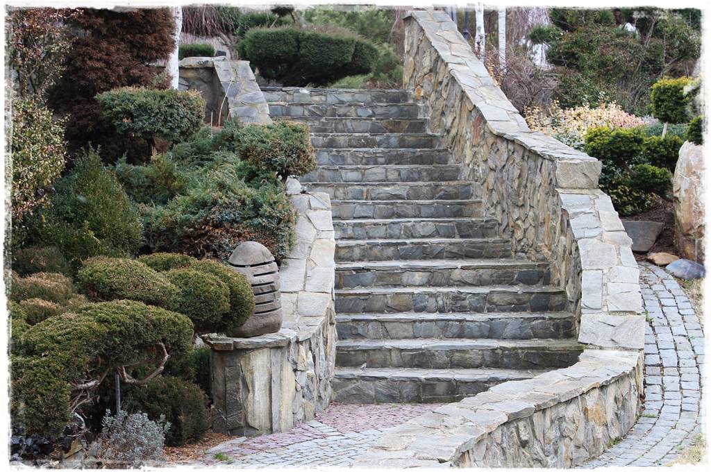 Rabata z iglakami 4a Rabata z iglakami 4a