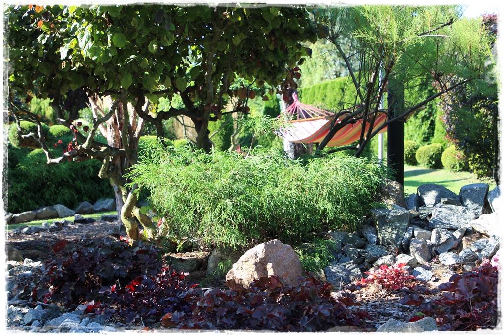 Rabata z iglakami 4c Rabata z iglakami 4c