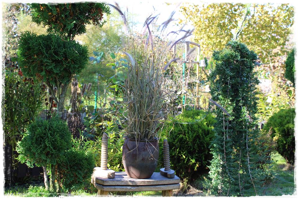 Rabata z iglakami 4d Rabata z iglakami 4d