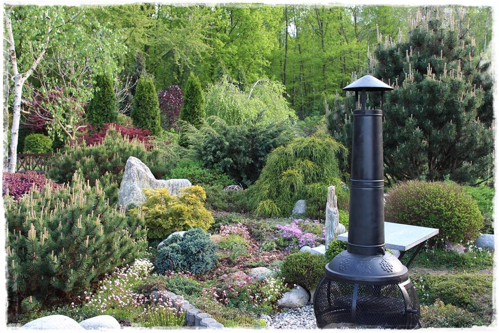 Rabata z iglakami 5e Rabata z iglakami 5e