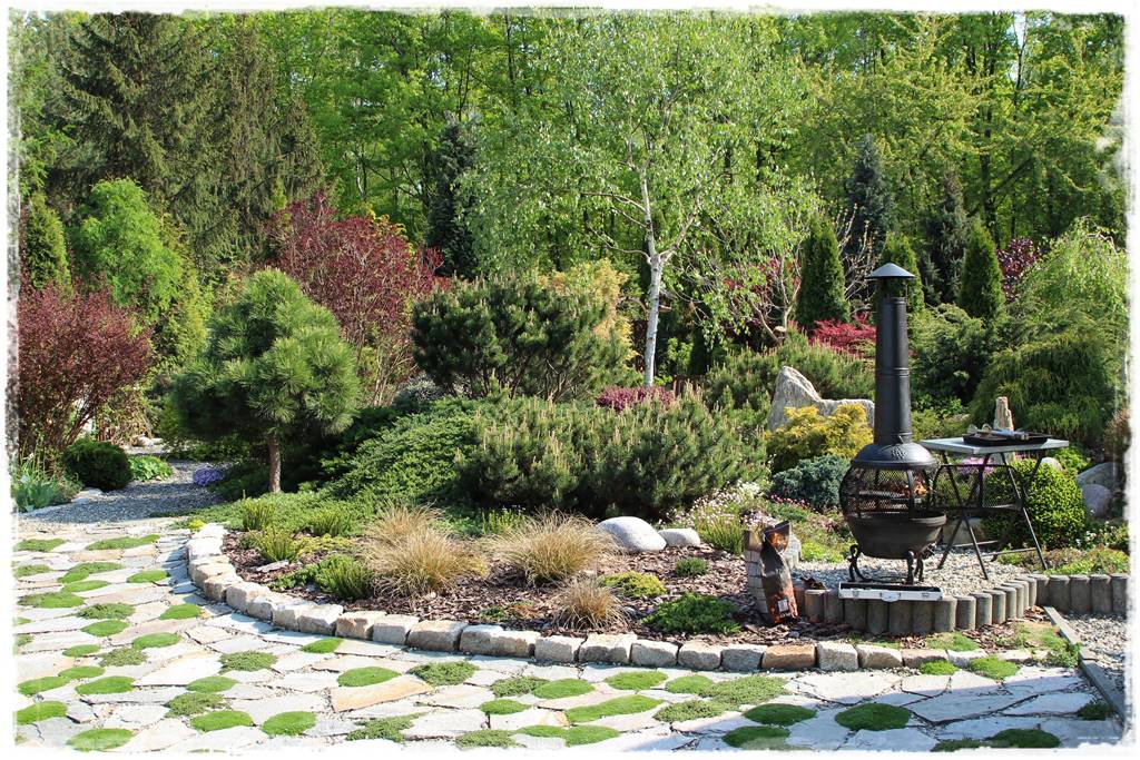 Rabata z iglakami 6b Rabata z iglakami 6b