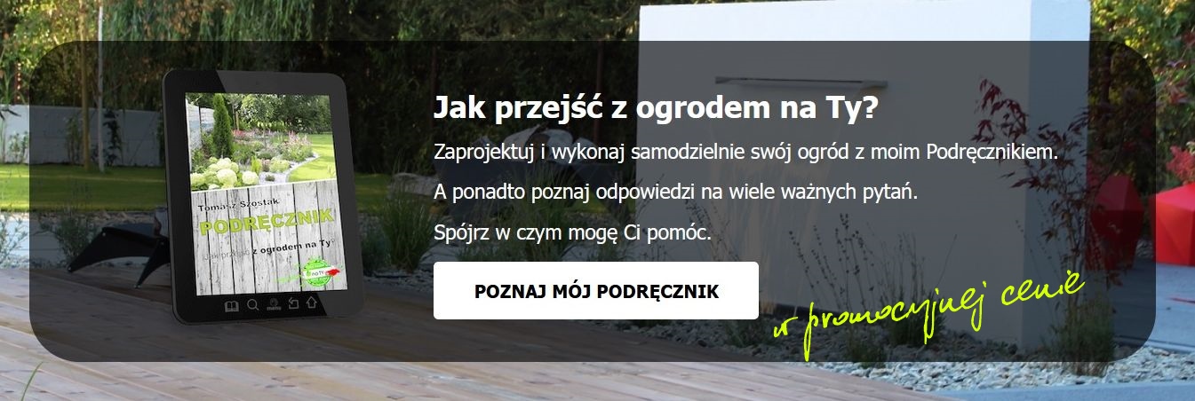 Styczeń w ogrodzie 100