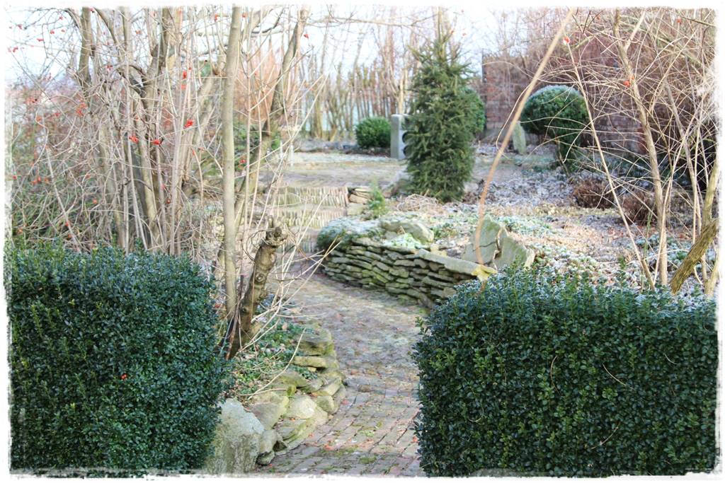 Styczeń w ogrodzie 14 Styczeń w ogrodzie 14