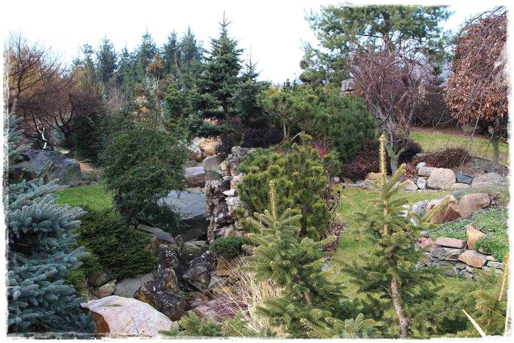 Styczeń w ogrodzie 8 Styczeń w ogrodzie 8