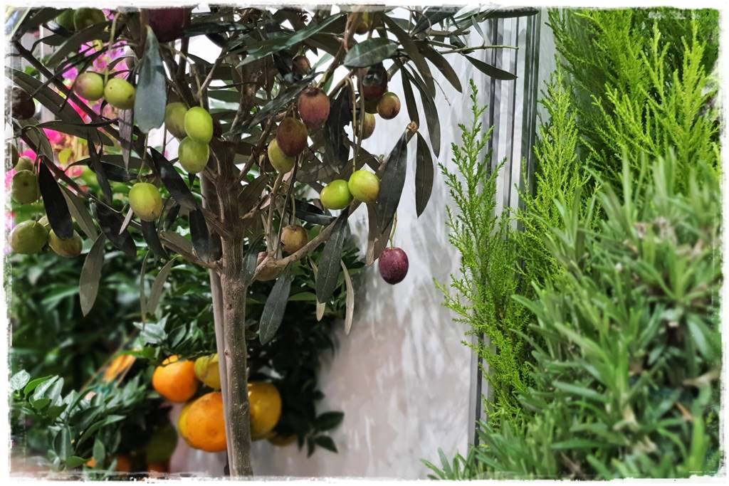 Zalety stałego zadaszenia tarasu 5a Zalety stałego zadaszenia tarasu 5a