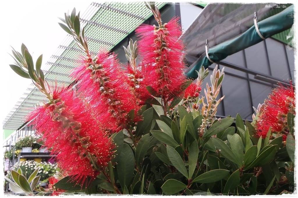 Zalety stałego zadaszenia tarasu 5e Zalety stałego zadaszenia tarasu 5e