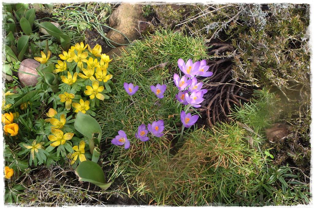 OLYMPUS DIGITAL CAMERA OLYMPUS DIGITAL CAMERA