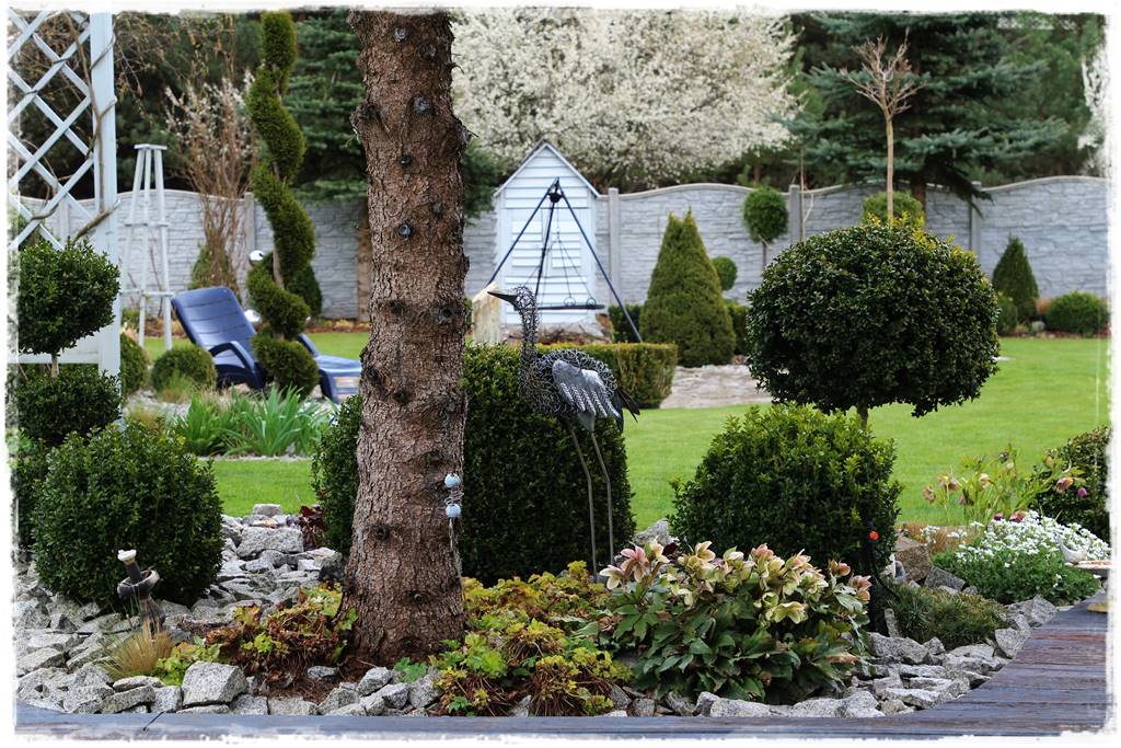 Zimowe kwiaty w ogrodzie 9a Zimowe kwiaty w ogrodzie 9a