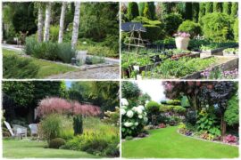 pomysł na mały ogród 0