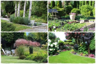 pomysł na mały ogród 0