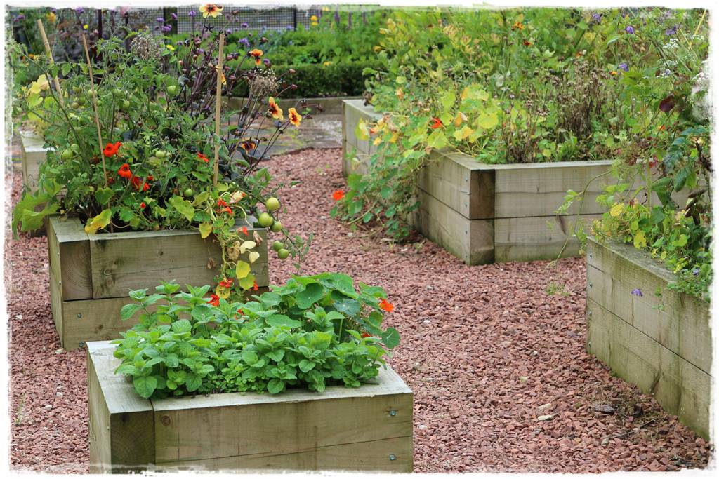 pomysł na mały ogród 3 pomysł na mały ogród 3