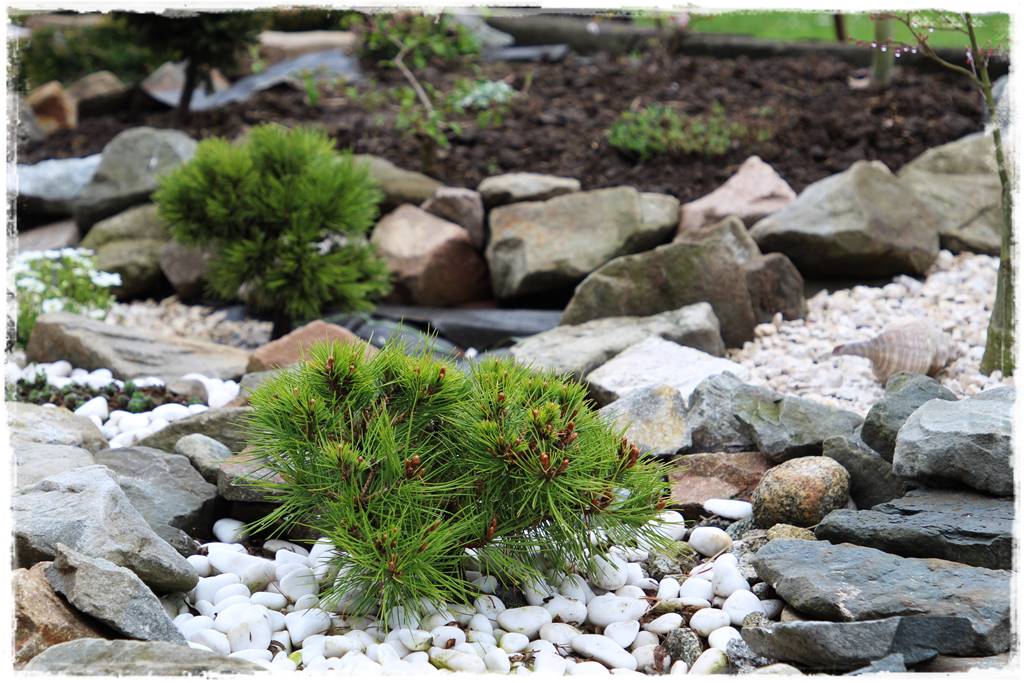 pomysł na mały ogród 4 pomysł na mały ogród 4