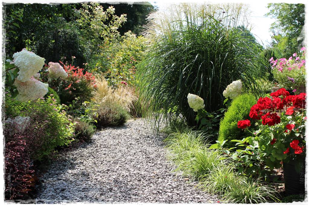 pomysł na mały ogród 5i pomysł na mały ogród 5i