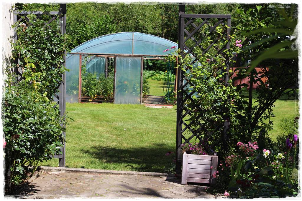 pomysł na mały ogród 5k pomysł na mały ogród 5k