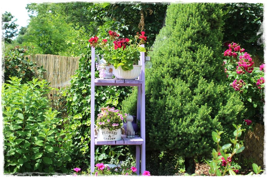 pomysł na mały ogród 6a pomysł na mały ogród 6a