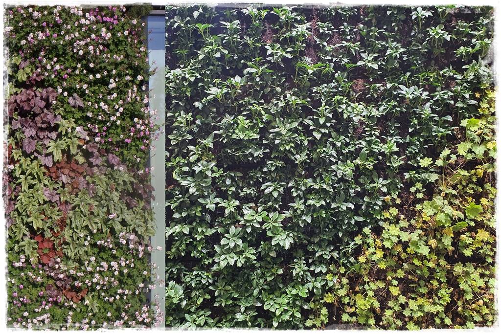 pomysł na mały ogród 6b pomysł na mały ogród 6b