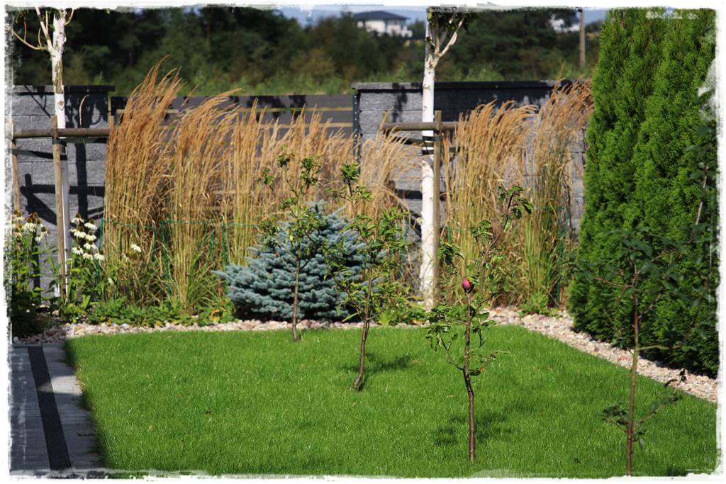 pomysł na mały ogród 6d pomysł na mały ogród 6d