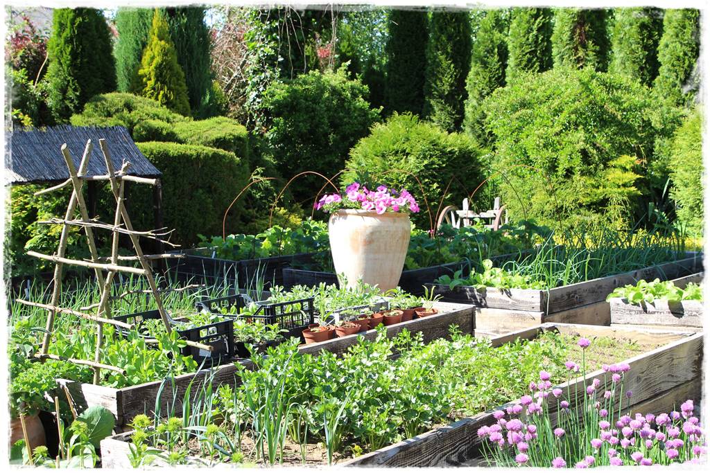 pomysł na mały ogród 6g pomysł na mały ogród 6g