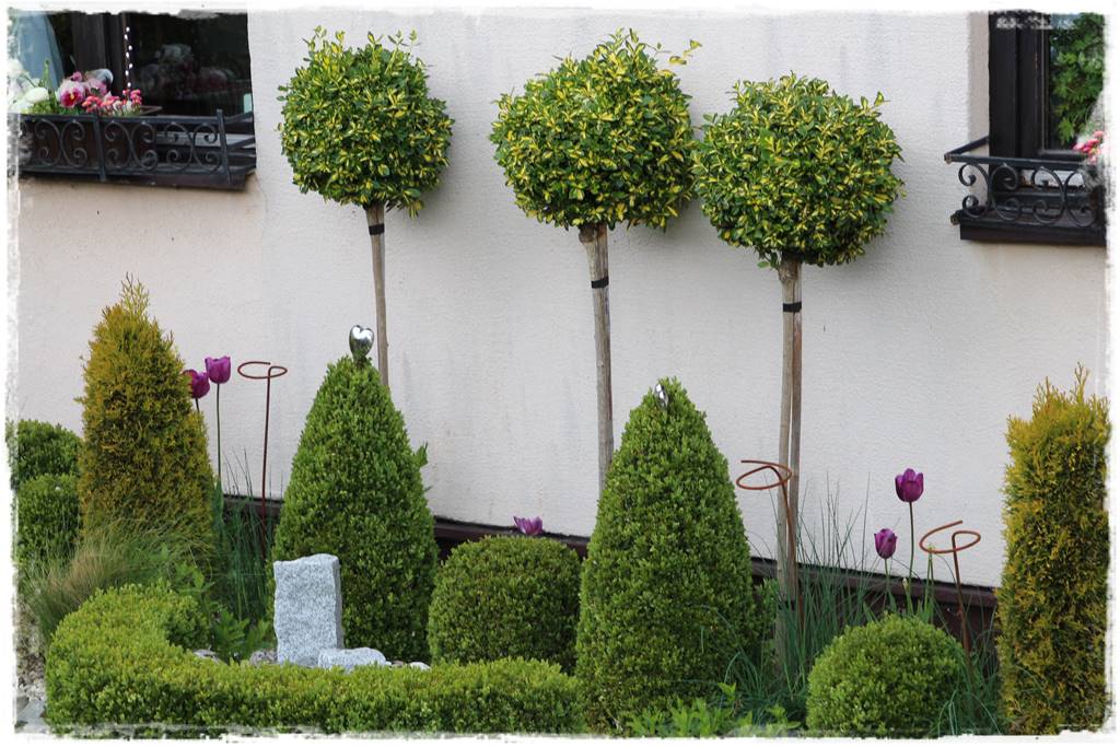 pomysł na mały ogród 6i pomysł na mały ogród 6i