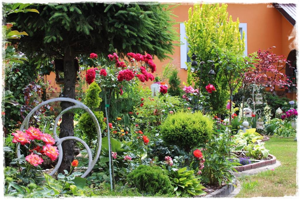 pomysł na mały ogród 6j pomysł na mały ogród 6j