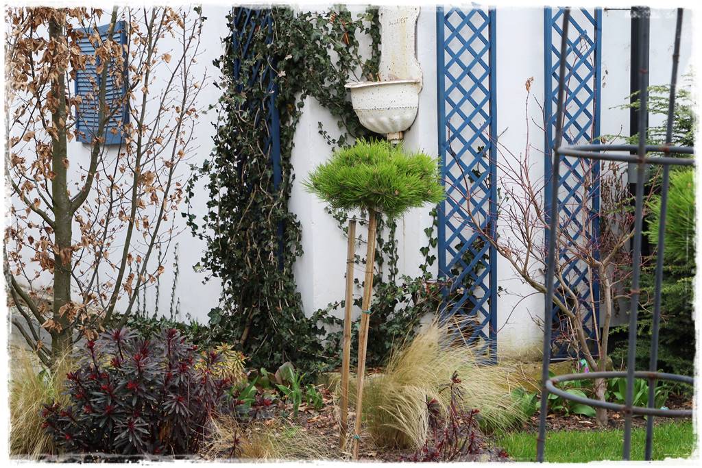 pomysł na mały ogród 6k