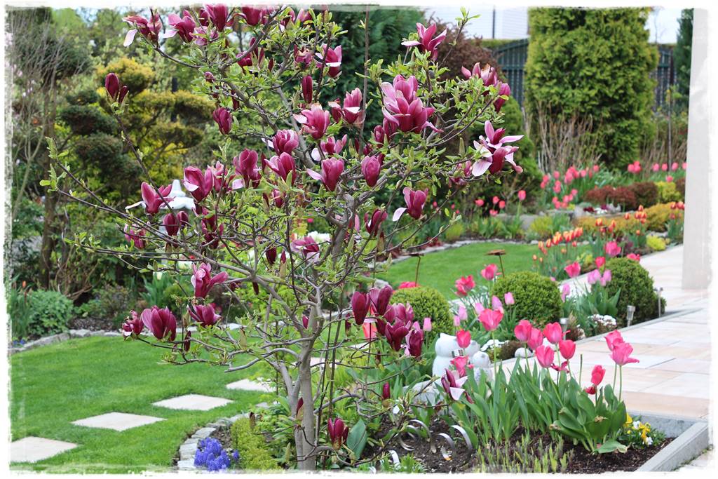 pomysł na mały ogród 7b pomysł na mały ogród 7b