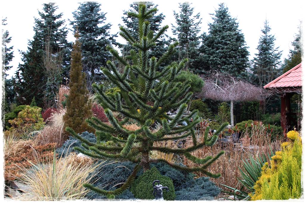 pomysł na mały ogród 7e pomysł na mały ogród 7e