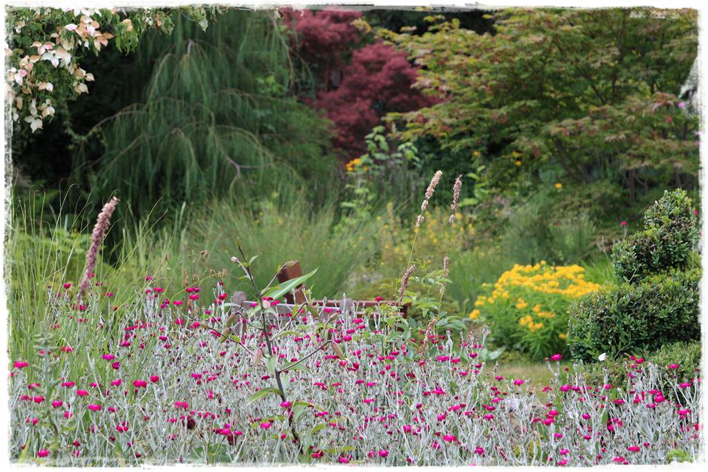 rośliny łatwe w uprawie 1 rośliny łatwe w uprawie 1