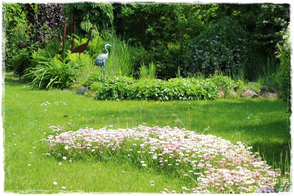 rośliny łatwe w uprawie 1a rośliny łatwe w uprawie 1a