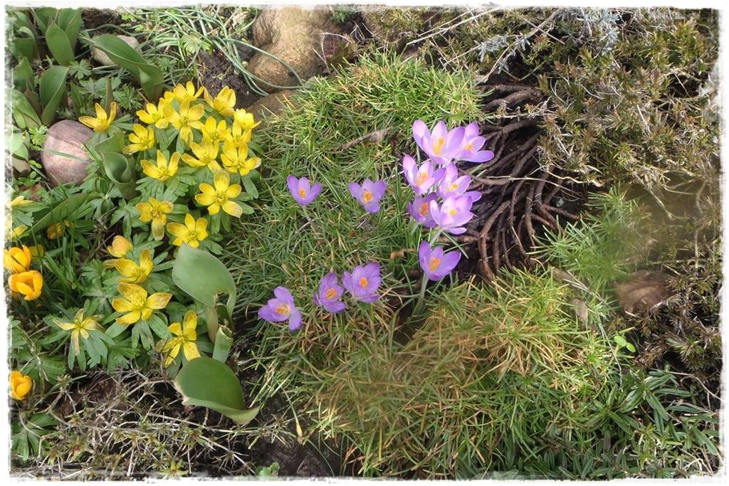 OLYMPUS DIGITAL CAMERA OLYMPUS DIGITAL CAMERA