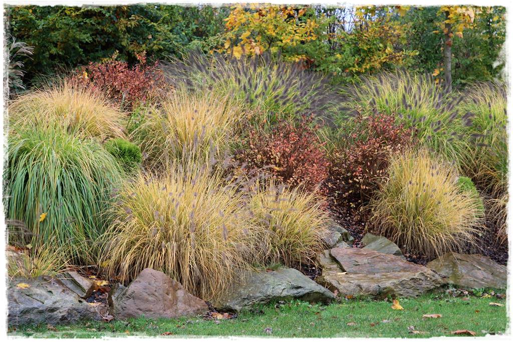 rośliny łatwe w uprawie 4a rośliny łatwe w uprawie 4a