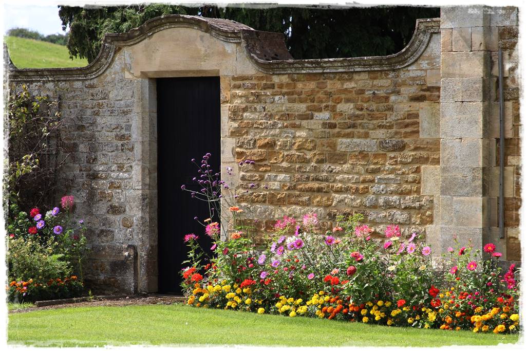 terminy siewu kwiatów jednorocznych 0