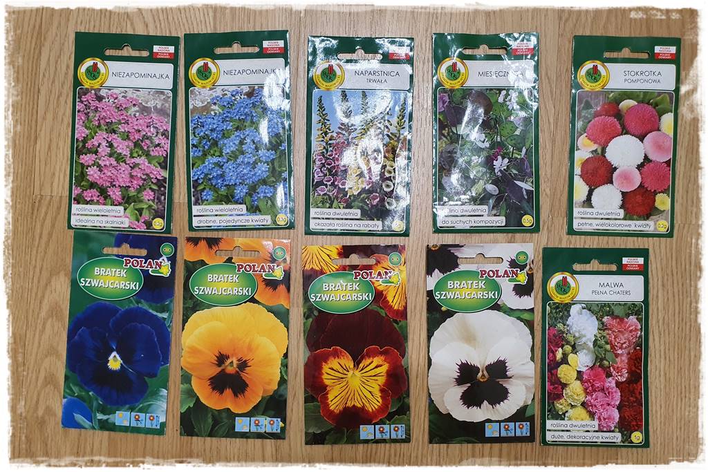 terminy siewu kwiatów jednorocznych 104