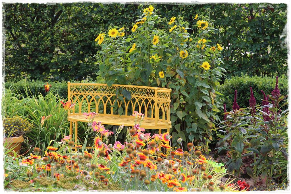 terminy siewu kwiatów jednorocznych 18