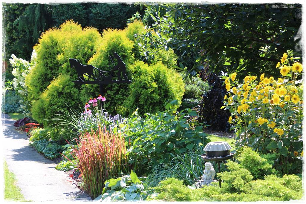 terminy siewu kwiatów jednorocznych 18a