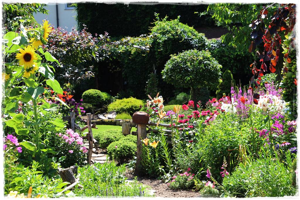 terminy siewu kwiatów jednorocznych 18b