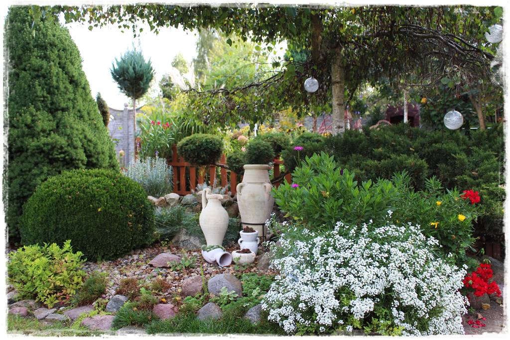 terminy siewu kwiatów jednorocznych 19a