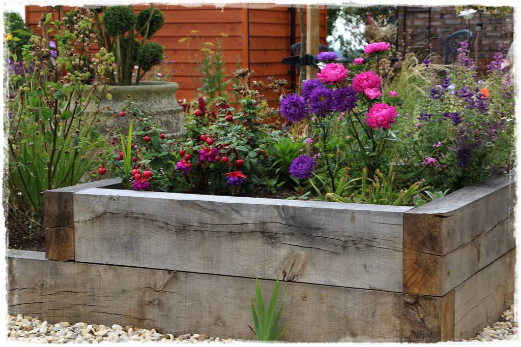 terminy siewu kwiatów jednorocznych 2