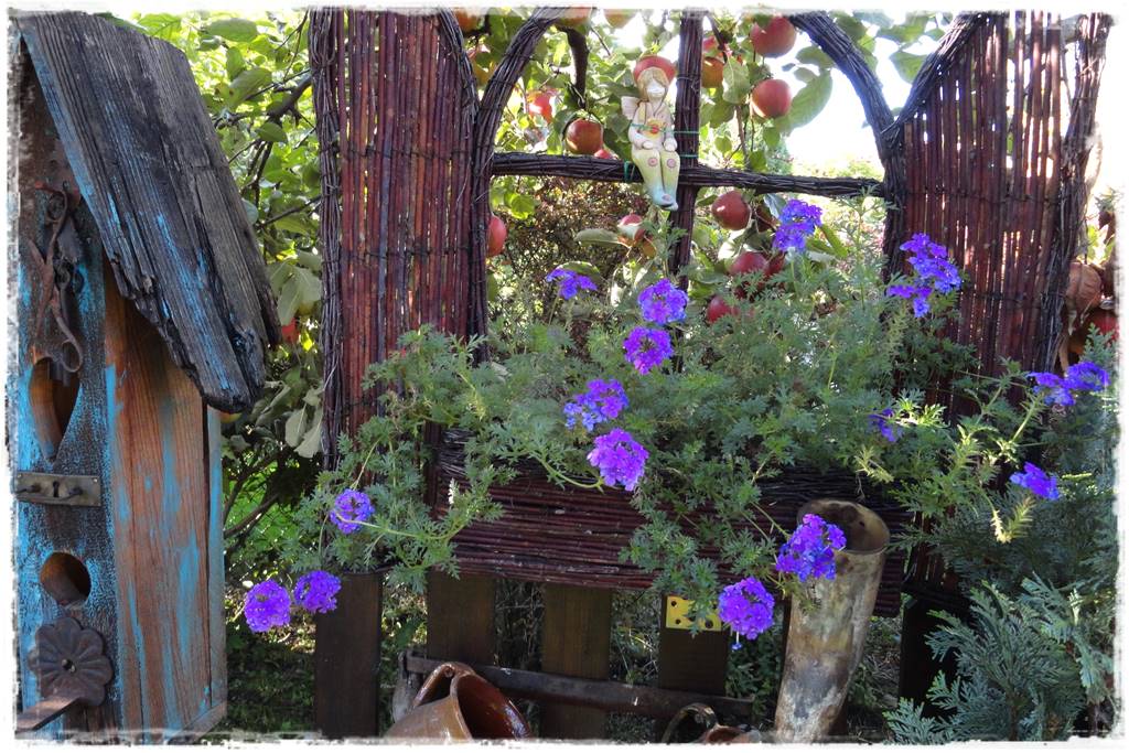 terminy siewu kwiatów jednorocznych 23