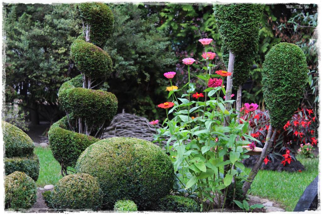 terminy siewu kwiatów jednorocznych 4a