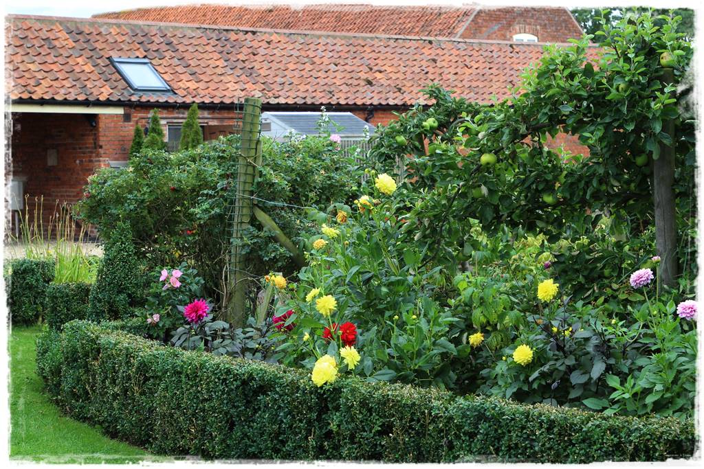 terminy siewu kwiatów jednorocznych 5b