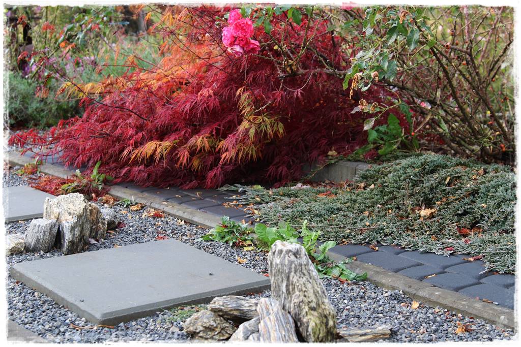 Beton w ogrodzie 10a