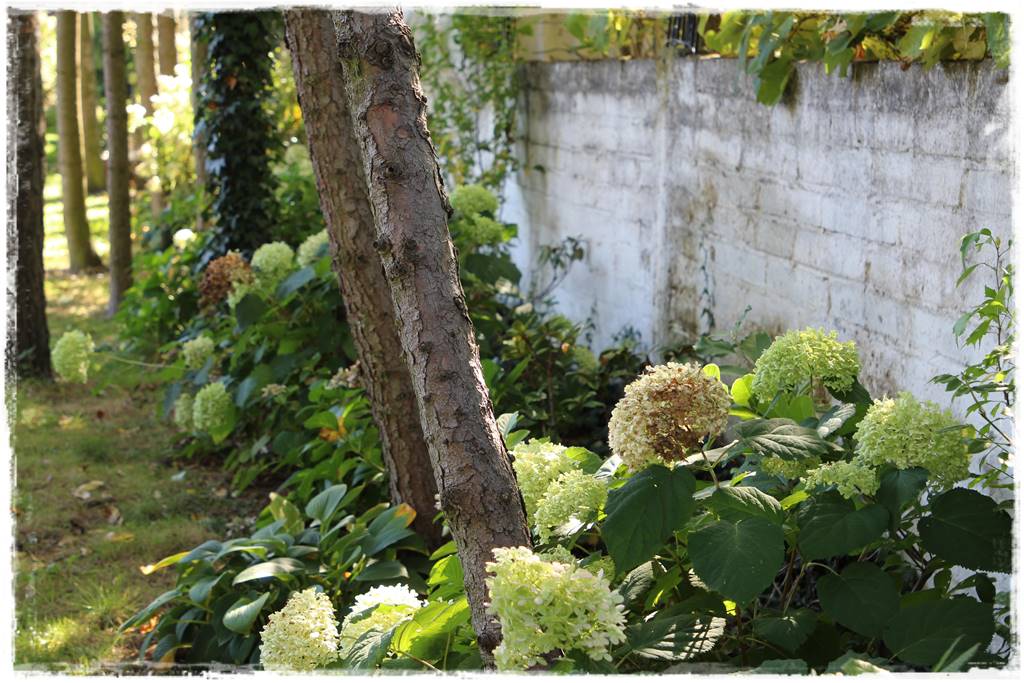 Beton w ogrodzie 13c