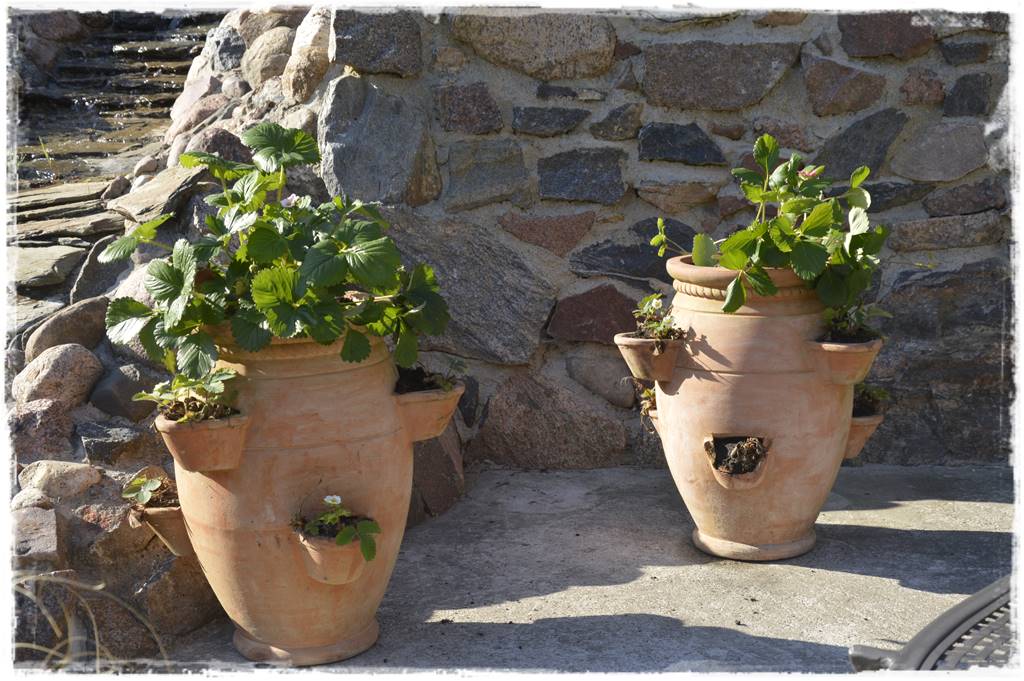 Beton w ogrodzie 4c