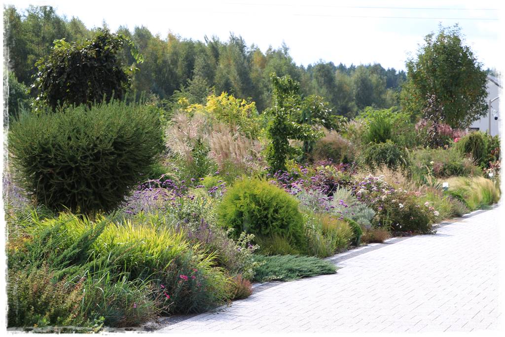 Beton w ogrodzie 4d